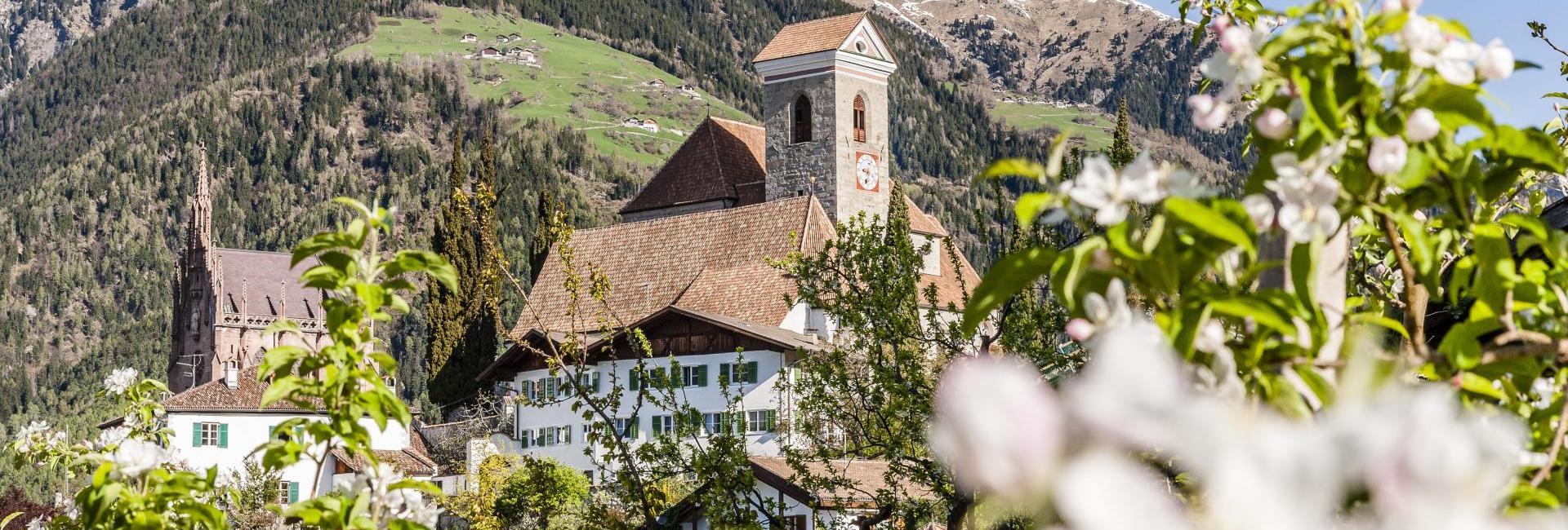 Frühling in Schenna